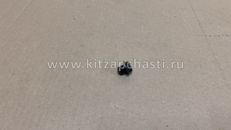Пробка сливная HAVAL H7 1009304XEC06