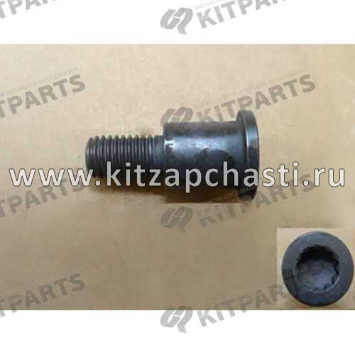 Болт направляющей цепи ГРМ  HAVAL Wingle 7  1021018AEC01