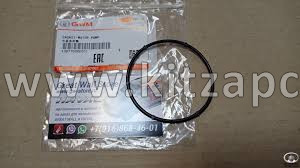 Прокладка водяного насоса (помпы) HAVAL H3 1307102XEG01