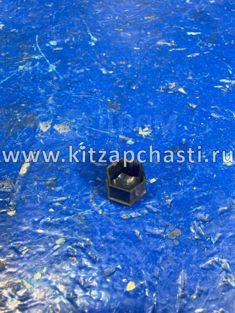 Колпачок болта колесного TANK 400 3101019XKW09A