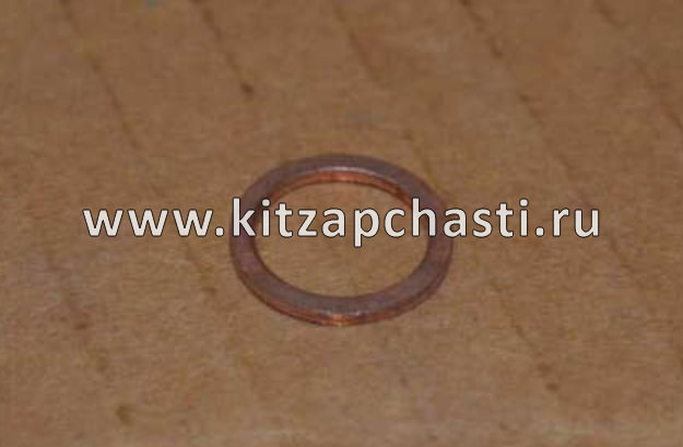 Сальник SOUEAST S09 484J1014038
