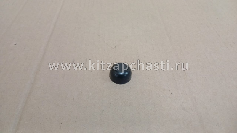 Колпачок гайки переднего стеклоочистителя EXEED TXL FL 608000188AA