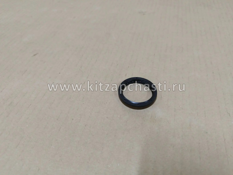 Сальник дифференциала КПП правый  EXEED RX 9009071460