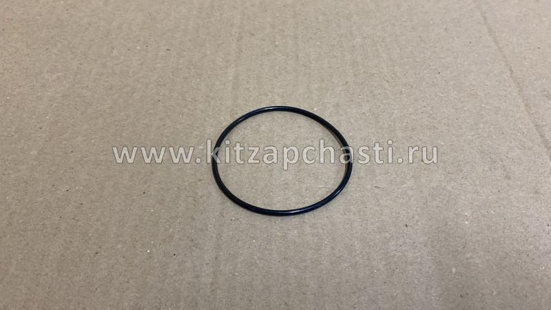Уплотнительное кольцо сервопривода Chery Tiggo 7L 9009084561